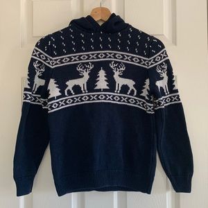 Reindeer Blue and White Knit Hooded Sweater